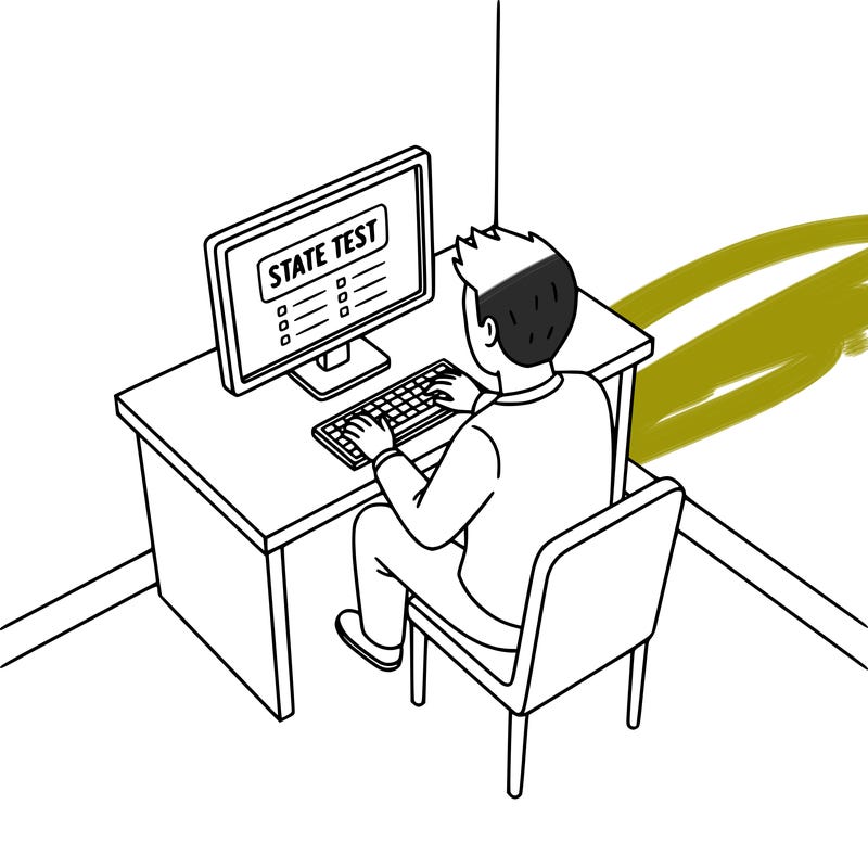 person on a computer doing state testing