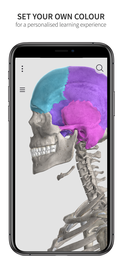 Anatomyka Skeleton - Modello 3D di un cranio umano su schermo di smartphone che mostra segmenti ossei codificati a colori per lo studio medico