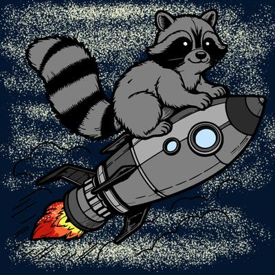 realistic raccoon flying on top rocket ship