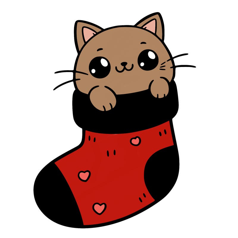 cute cat in a sock