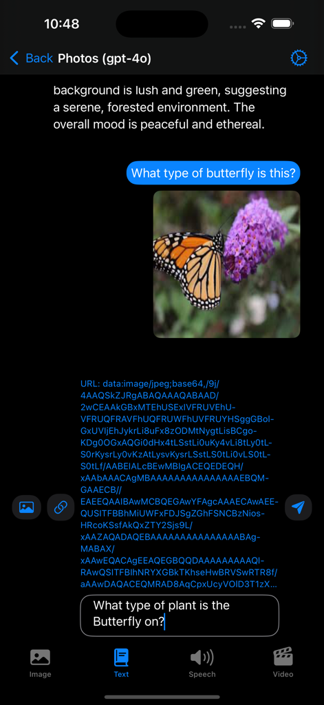 Captura de pantalla de la interfaz de chat de la aplicación Genesis AI usando GPT-4o para identificar una mariposa y una planta a partir de una foto.