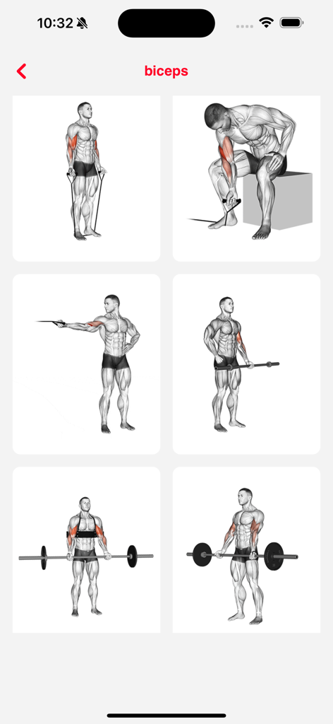 Fit Pro: Home & Gym Workouts - Ilustraciones animadas de varios ejercicios de bíceps para rutinas en casa y gimnasio.