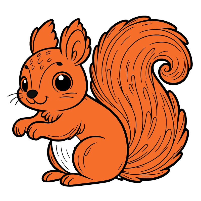 squirrel