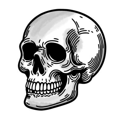skull