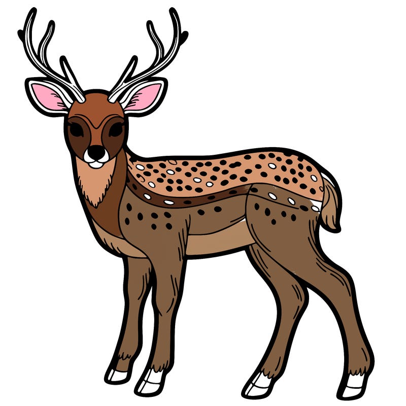 deer