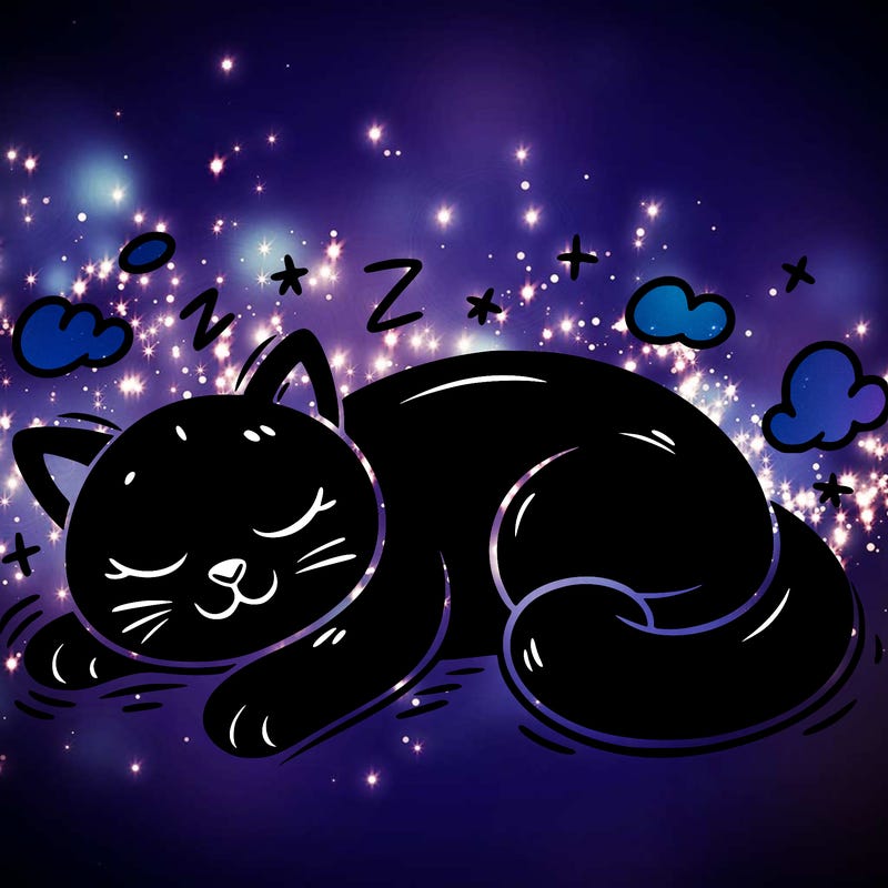 black cat sleeping