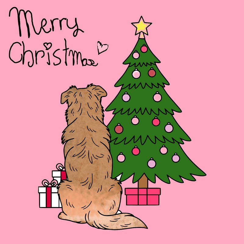 simple christmas with australian shepherd sitting tree