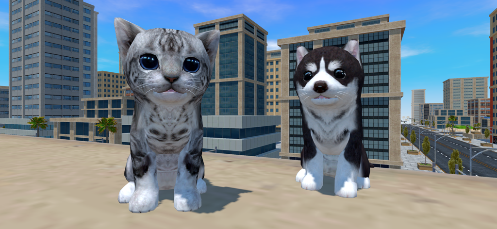 Cute Cat And Puppy World - A cute grey kitten and a husky puppy sitting together on a rooftop with city skyscrapers in the background