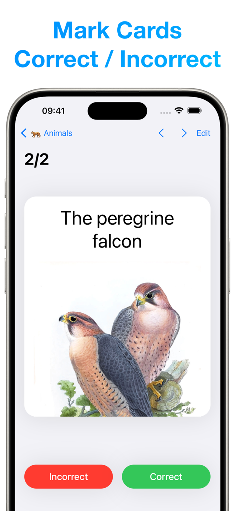 Amazing Flash Cards - フラッシュカードの学習インターフェース。カードを正解または不正解としてマークするためのボタンがあります。