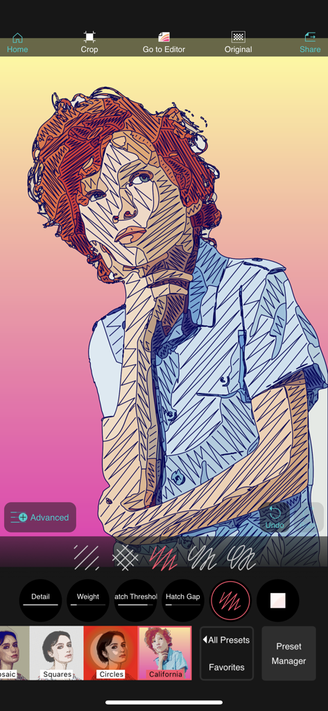 Vector Q by Imaengine - Vector Q app interface displaying a portrait transformed into a vector sketch with hatching line effects