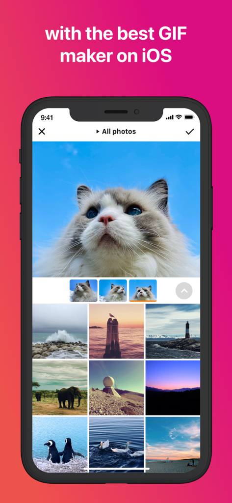 Giftr - GIF Maker - Giftr app interface on an iPhone showing a photo gallery and a cat picture for GIF creation