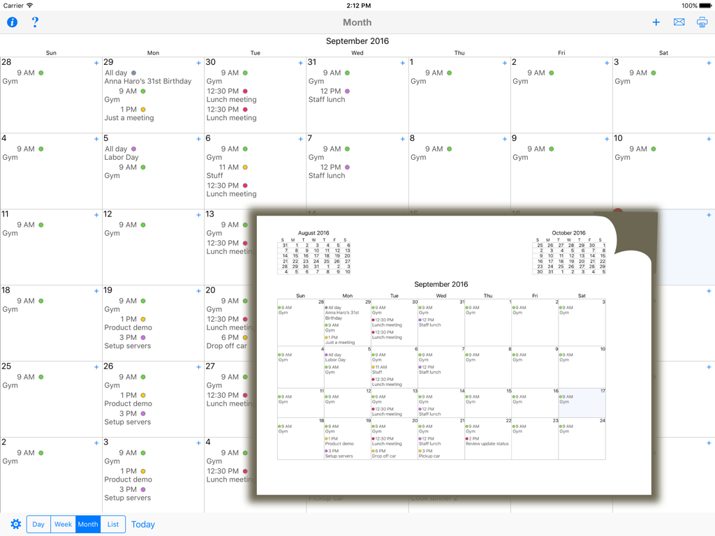 Anteprima di stampa della visualizzazione del calendario mensile di CalPrint su iPad