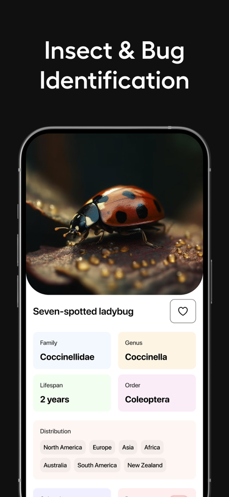 AI Lens & Identifier - AnyScan - AnyScan app screenshot showing insect and bug identification for a seven-spotted ladybug