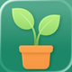 Leafify: Plant Identifier