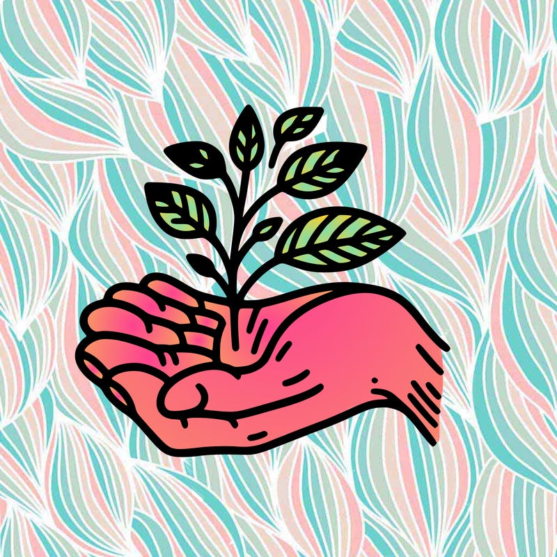 hand with plant