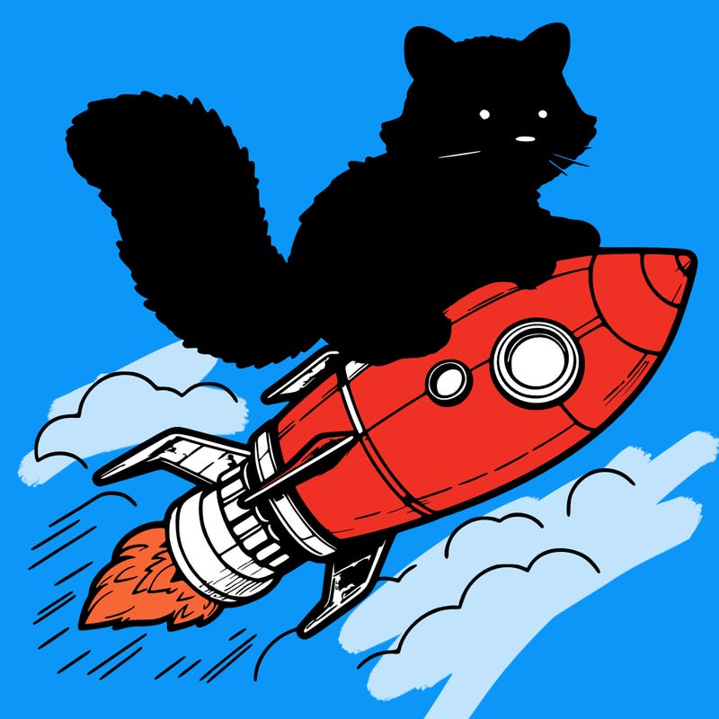 realistic raccoon flying on top rocket ship