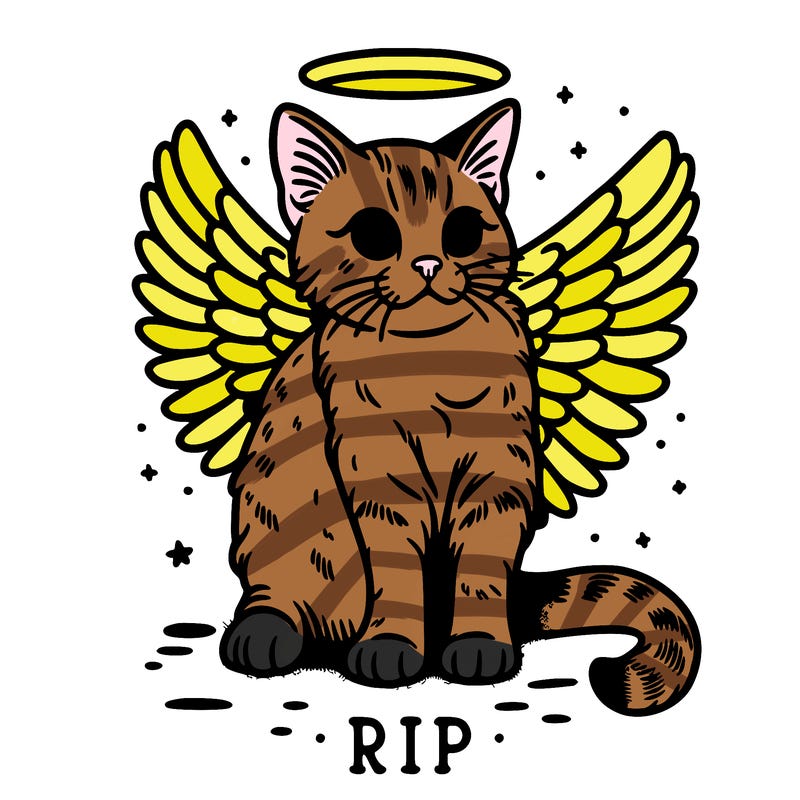 rip cat realistic cat with angel wings