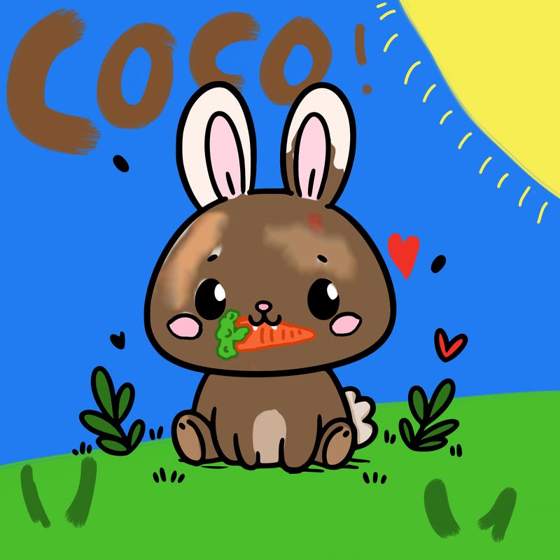 cute bunny