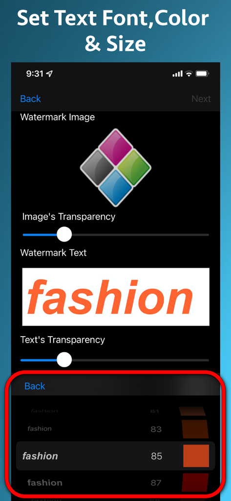 Video Watermarker - Interface for customizing text watermark font color and size in the Video Watermarker app