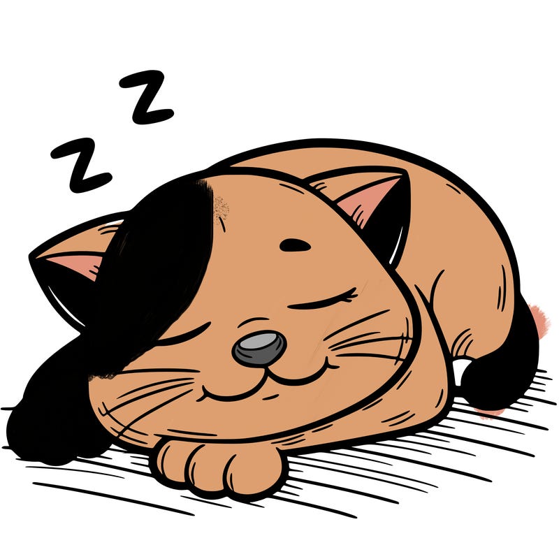 sleeping cat