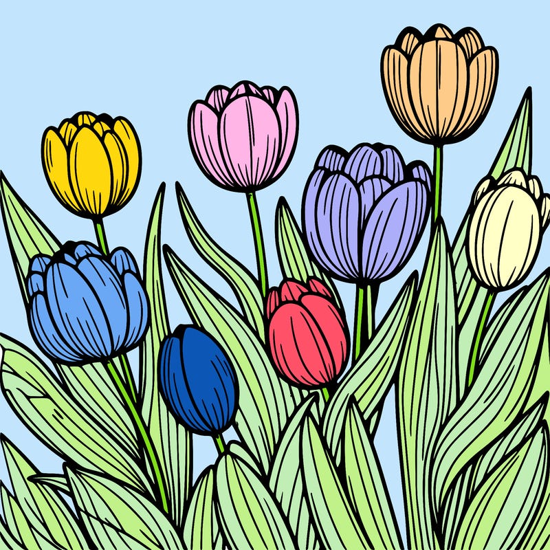 tulips