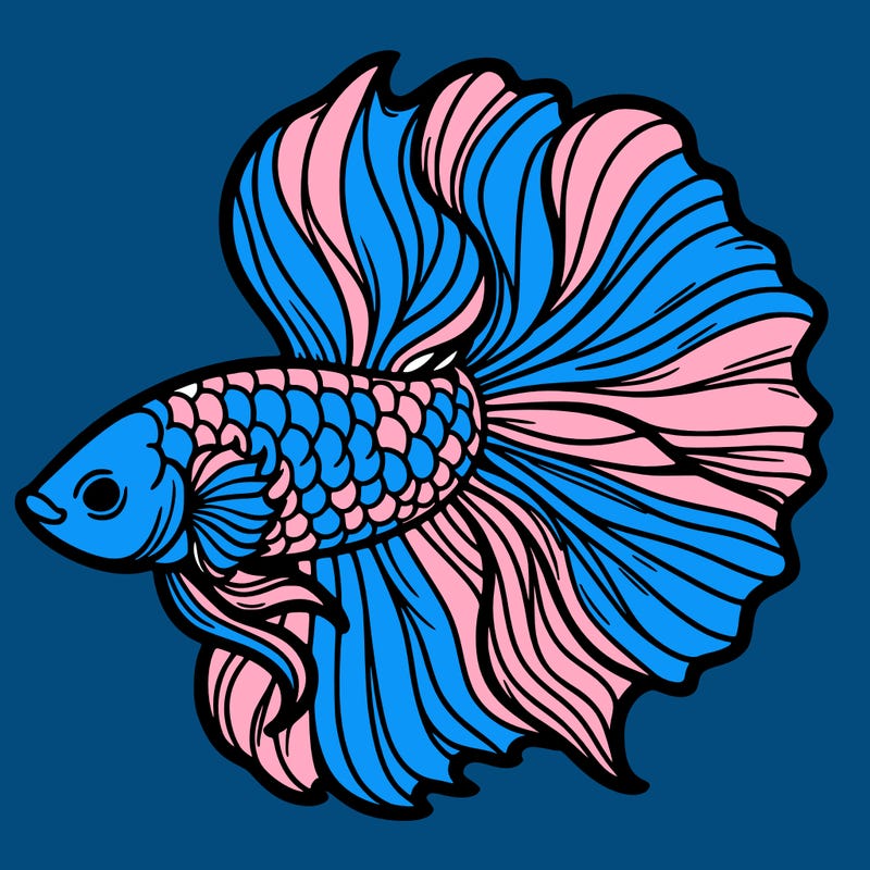 betta fish