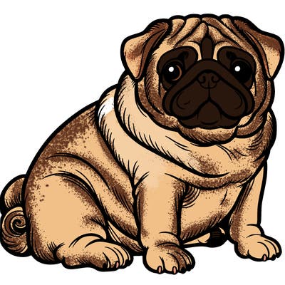 pug