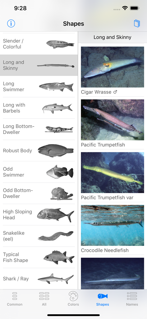 Interfaccia dell'app Snorkel Fish Hawaii che mostra l'identificazione dei pesci per forma con categorie e risultati fotografici