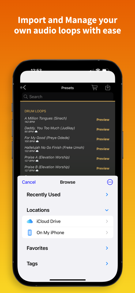 Interface of Groovy Loopz Pro showing options to import and manage audio loops from iCloud and local storage.