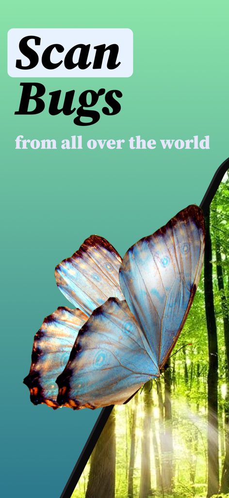 A blue butterfly in front of a sunny forest background with text saying scan bugs from all over the world