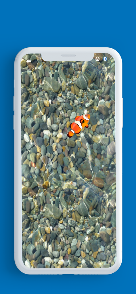 Laser Pointer for Cat - A clownfish swimming over a pebble background in a cat entertainment game