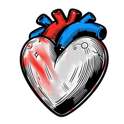 realistic heart