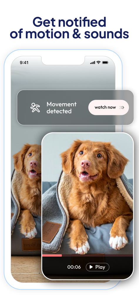 Cam V360 - Security Camera PRO - Mobile app screen showing a motion detection notification with a video feed of a pet dog