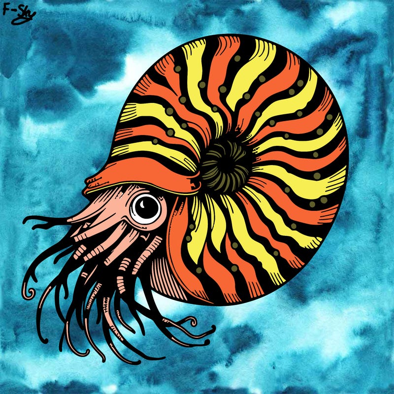 nautilus