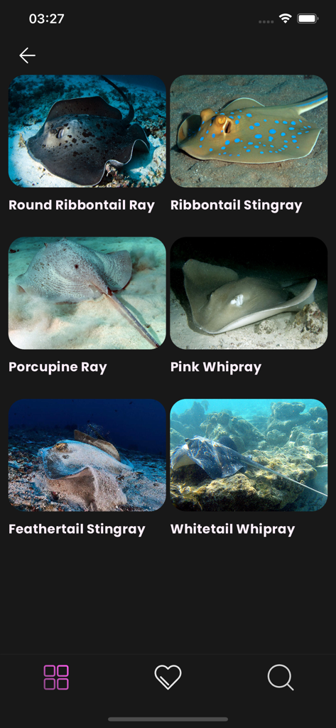 Maldivian Fish Guide - Un écran d'application mobile montrant une grille de différentes espèces de raies, y compris les raies pastenagues et les pastenagues, avec des photos de haute qualité.