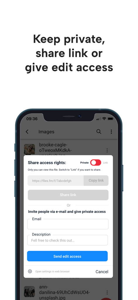 Files.fm Cloud storage - Interface of the Files.fm app showing options for private file sharing link creation and email invitations