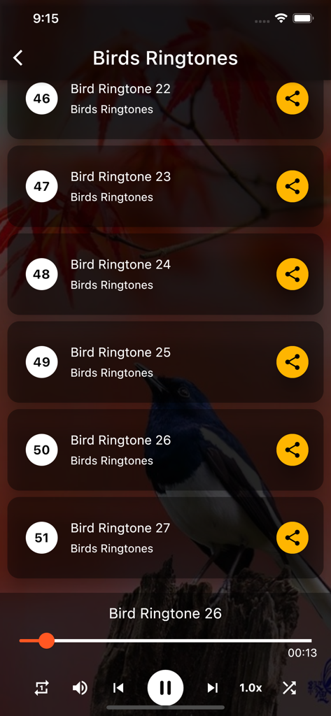 Birds Ringtones - A mobile app screen for Birds Ringtones showing a list of bird sounds and a playback control bar at the bottom.