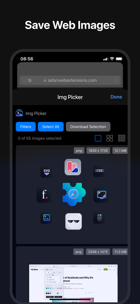 iPhone의 Img Picker Safari 확장 프로그램 인터페이스로, 웹 이미지 메타데이터와 다운로드 옵션을 보여줍니다.