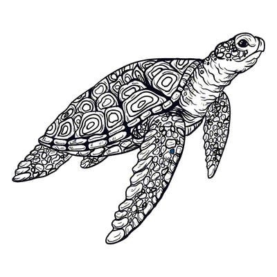 sea_life_03_new