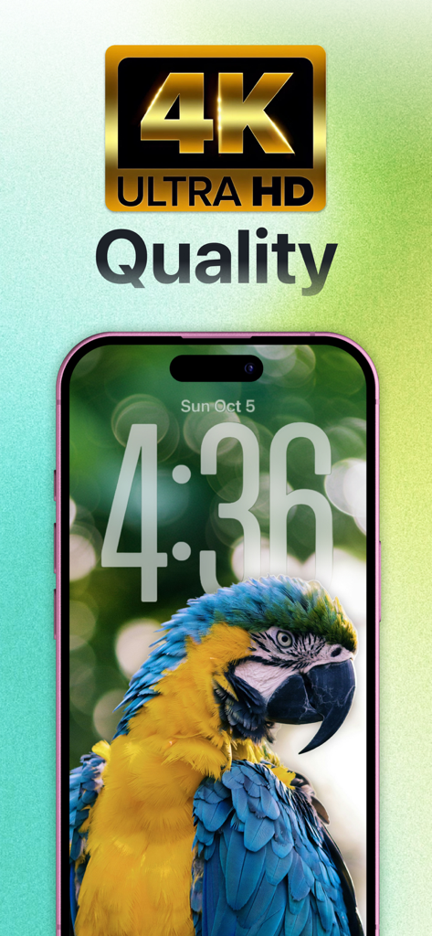 Wallio - Live Wallpapers - Wallio 앱의 화려한 앵무새 4K 라이브 배경화면을 표시하는 아이폰