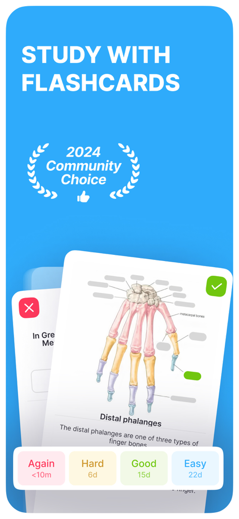 Noji flashcards app showing a medical anatomy card and spaced repetition options