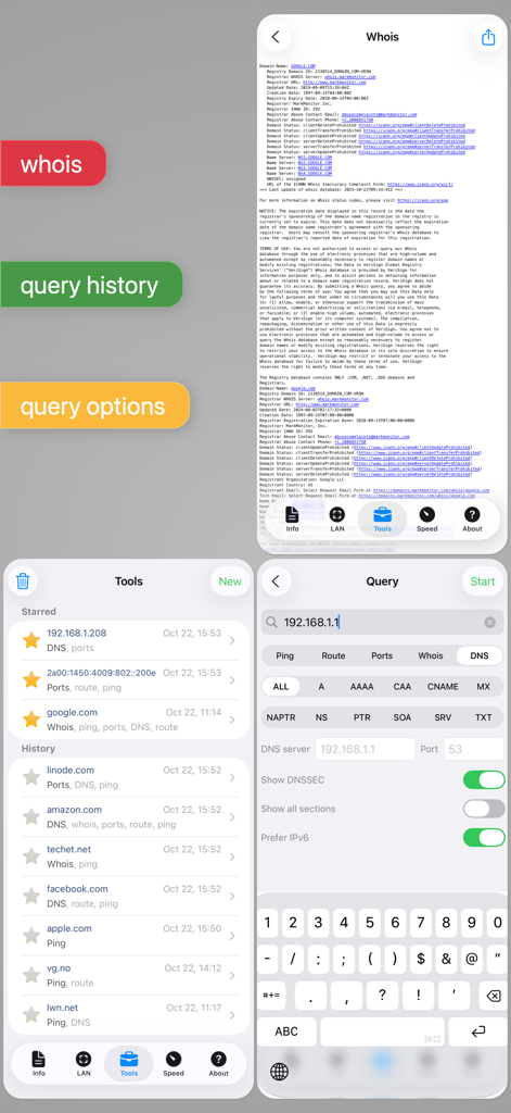 Network Analyzer Pro - Interface do Network Analyzer Pro mostrando detalhes da consulta whois, histórico de consultas e configurações de diagnóstico de rede.
