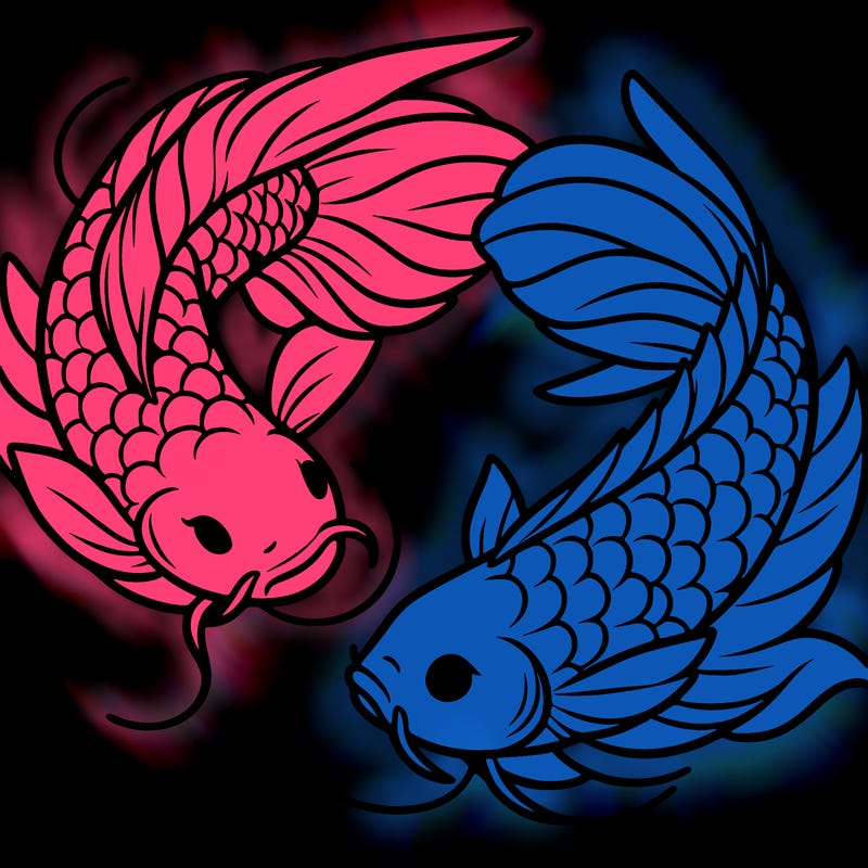 two koi swimming in opposite directions