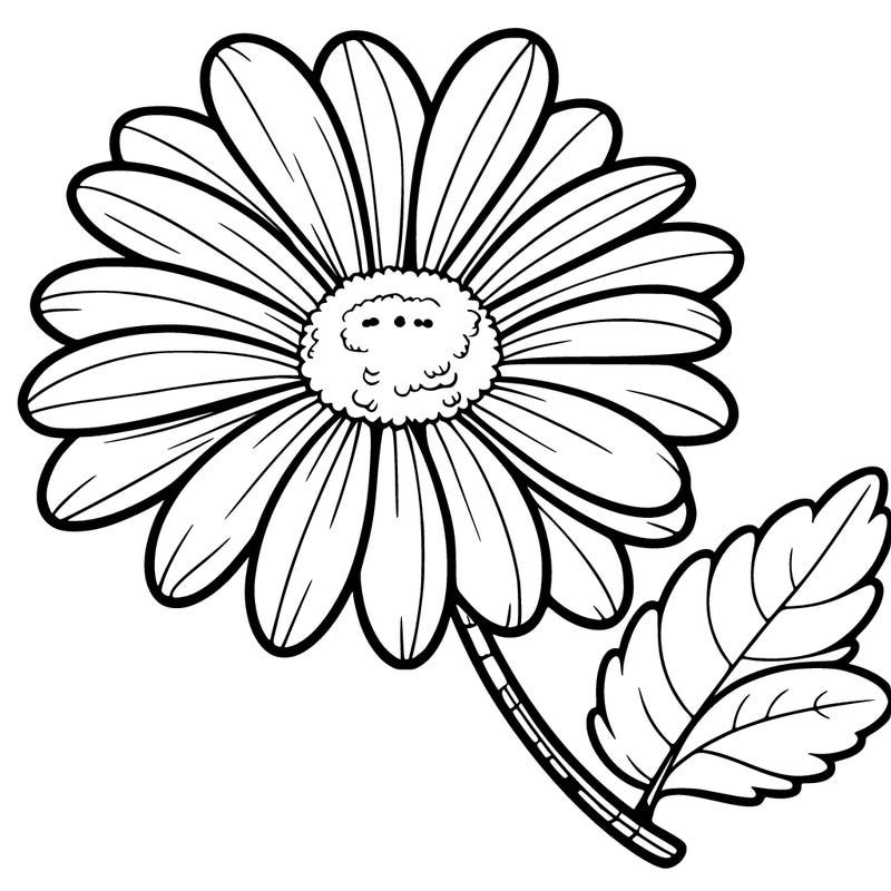 daisy