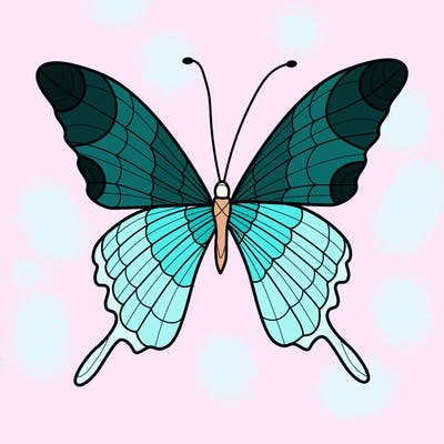 animals_17