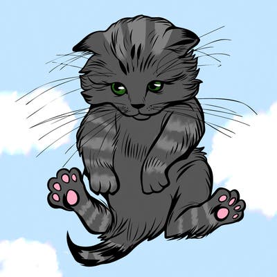 animals_20
