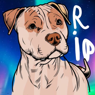 a realistic pit bull