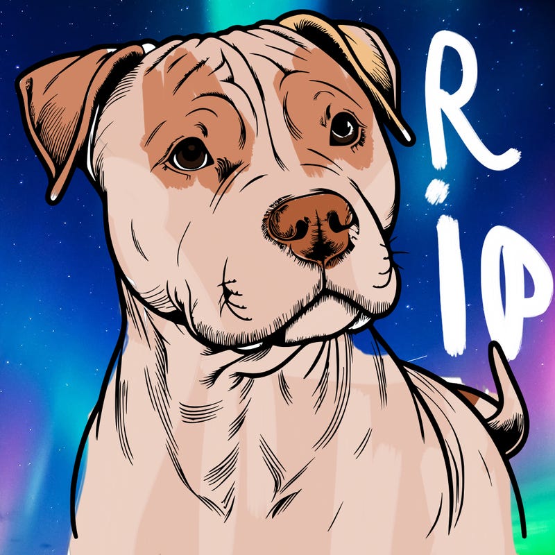 a realistic pit bull