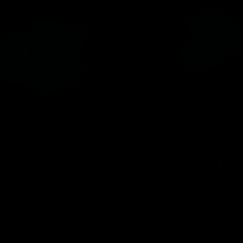 anime girl with three braids and a katana whip