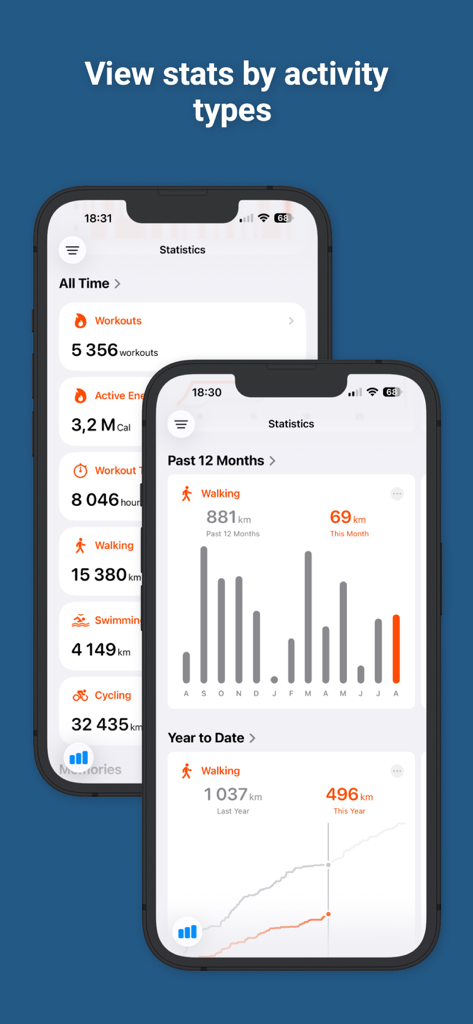 HealthFit - HealthFit app dashboard showing detailed walking statistics and activity charts